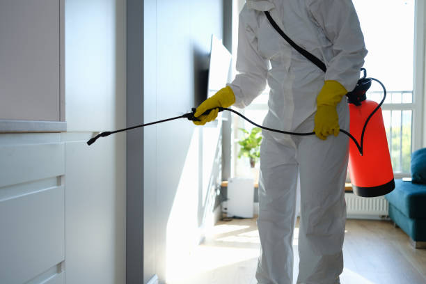 Best Mold Remediation for Healthcare Facilities  in Pojoaque, NM