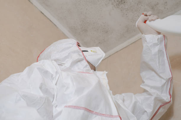 Best Asbestos and Lead Testing During Mold Inspection  in Pojoaque, NM